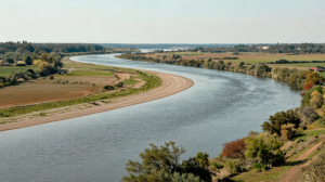 大限與流年簡析步驟