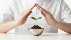 鋼柔並濟：「武曲星」坐守「子女宮」紀律型教養