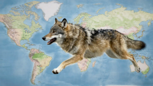 社交開疆：「貪狼星」坐守「遷移宮」異地曝光術