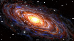 紫微斗數星曜亮度終極指南：從廟旺利陷看懂命盤吉凶與格局變化