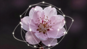 廉貞星全面解析：從事業、感情到化祿化忌，深度揭祕紫微斗數中的「囚」與「桃花」