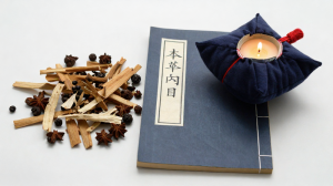 疾厄宮與疾病易感：哪些疾厄宮組合需特別留意