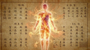 健康疾厄全書：體質、疾病與養生策略