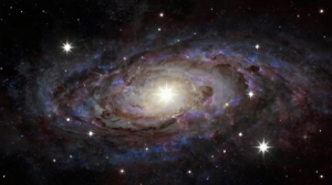 紫微斗數命盤中的吉凶星解析