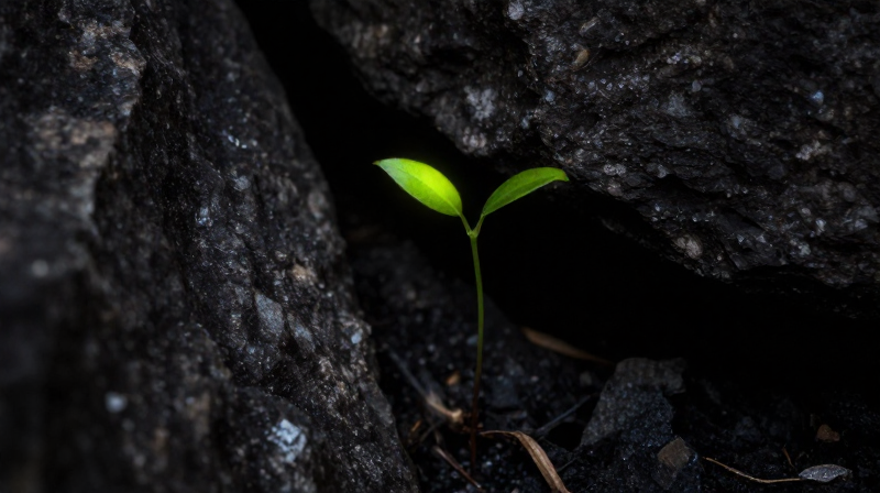事業宮遇凶星：逆境中的轉機與突破