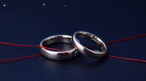 十四主星與感情婚姻分析